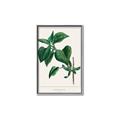 Picture of Nostalgic Green Lilac Leaves _GroupedProduct_Rectangle_Portrait_Canvas_Framed_