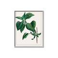 Picture of Nostalgic Green Lilac Leaves _GroupedProduct_Rectangle_Portrait_Canvas_Framed_