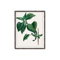 Picture of Nostalgic Green Lilac Leaves _GroupedProduct_Rectangle_Portrait_Canvas_Framed_