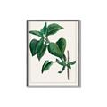 Picture of Nostalgic Green Lilac Leaves _GroupedProduct_Rectangle_Portrait_Canvas_Framed_