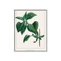 Picture of Nostalgic Green Lilac Leaves _GroupedProduct_Rectangle_Portrait_Canvas_Framed_