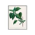 Picture of Nostalgic Green Lilac Leaves _GroupedProduct_Rectangle_Portrait_Canvas_Framed_