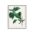 Picture of Nostalgic Green Lilac Leaves _GroupedProduct_Rectangle_Portrait_Canvas_Framed_