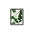 Picture of Nostalgic Green Murgrona Leaves _GroupedProduct_Rectangle_Portrait_Canvas_Framed_