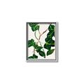 Picture of Nostalgic Green Murgrona Leaves _GroupedProduct_Rectangle_Portrait_Canvas_Framed_