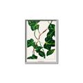 Picture of Nostalgic Green Murgrona Leaves _GroupedProduct_Rectangle_Portrait_Canvas_Framed_