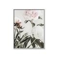 Picture of Romantic Blur Peony V _GroupedProduct_Rectangle_Portrait_Photography _GroupedProduct_Rectangle_Portrait_Canvas_Framed_