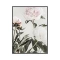 Picture of Romantic Blur Peony V _GroupedProduct_Rectangle_Portrait_Photography _GroupedProduct_Rectangle_Portrait_Canvas_Framed_