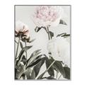 Picture of Romantic Blur Peony V _GroupedProduct_Rectangle_Portrait_Photography _GroupedProduct_Rectangle_Portrait_Canvas_Framed_
