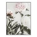 Picture of Romantic Blur Peony V _GroupedProduct_Rectangle_Portrait_Photography _GroupedProduct_Rectangle_Portrait_Canvas_Framed_