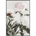 Picture of Romantic Blur Peony V _GroupedProduct_Rectangle_Portrait_Photography _GroupedProduct_Rectangle_Portrait_Canvas_Framed_