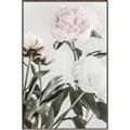 Picture of Romantic Blur Peony V _GroupedProduct_Rectangle_Portrait_Photography _GroupedProduct_Rectangle_Portrait_Canvas_Framed_