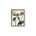 Picture of Romantic Blur Peony IV _GroupedProduct_Rectangle_Portrait_Photography _GroupedProduct_Rectangle_Portrait_Canvas_Framed_
