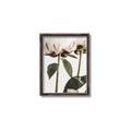 Picture of Romantic Blur Peony IV _GroupedProduct_Rectangle_Portrait_Photography _GroupedProduct_Rectangle_Portrait_Canvas_Framed_