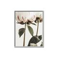 Picture of Romantic Blur Peony IV _GroupedProduct_Rectangle_Portrait_Photography _GroupedProduct_Rectangle_Portrait_Canvas_Framed_