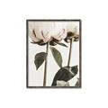 Picture of Romantic Blur Peony IV _GroupedProduct_Rectangle_Portrait_Photography _GroupedProduct_Rectangle_Portrait_Canvas_Framed_