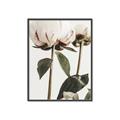 Picture of Romantic Blur Peony IV _GroupedProduct_Rectangle_Portrait_Photography _GroupedProduct_Rectangle_Portrait_Canvas_Framed_