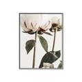Picture of Romantic Blur Peony IV _GroupedProduct_Rectangle_Portrait_Photography _GroupedProduct_Rectangle_Portrait_Canvas_Framed_