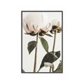 Picture of Romantic Blur Peony IV _GroupedProduct_Rectangle_Portrait_Photography _GroupedProduct_Rectangle_Portrait_Canvas_Framed_