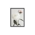 Picture of Romantic Blur Peony III _GroupedProduct_Rectangle_Portrait_Photography _GroupedProduct_Rectangle_Portrait_Canvas_Framed_