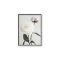 Picture of Romantic Blur Peony III _GroupedProduct_Rectangle_Portrait_Photography _GroupedProduct_Rectangle_Portrait_Canvas_Framed_