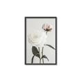 Picture of Romantic Blur Peony III _GroupedProduct_Rectangle_Portrait_Photography _GroupedProduct_Rectangle_Portrait_Canvas_Framed_