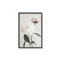 Picture of Romantic Blur Peony III _GroupedProduct_Rectangle_Portrait_Photography _GroupedProduct_Rectangle_Portrait_Canvas_Framed_