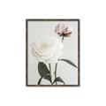 Picture of Romantic Blur Peony III _GroupedProduct_Rectangle_Portrait_Photography _GroupedProduct_Rectangle_Portrait_Canvas_Framed_