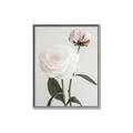 Picture of Romantic Blur Peony III _GroupedProduct_Rectangle_Portrait_Photography _GroupedProduct_Rectangle_Portrait_Canvas_Framed_