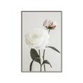 Picture of Romantic Blur Peony III _GroupedProduct_Rectangle_Portrait_Photography _GroupedProduct_Rectangle_Portrait_Canvas_Framed_