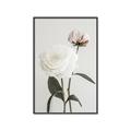 Picture of Romantic Blur Peony III _GroupedProduct_Rectangle_Portrait_Photography _GroupedProduct_Rectangle_Portrait_Canvas_Framed_