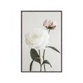 Picture of Romantic Blur Peony III _GroupedProduct_Rectangle_Portrait_Photography _GroupedProduct_Rectangle_Portrait_Canvas_Framed_