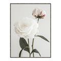 Picture of Romantic Blur Peony III _GroupedProduct_Rectangle_Portrait_Photography _GroupedProduct_Rectangle_Portrait_Canvas_Framed_