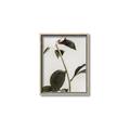 Picture of Romantic Blur Peony II _GroupedProduct_Rectangle_Portrait_Photography _GroupedProduct_Rectangle_Portrait_Canvas_Framed_