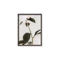 Picture of Romantic Blur Peony II _GroupedProduct_Rectangle_Portrait_Photography _GroupedProduct_Rectangle_Portrait_Canvas_Framed_