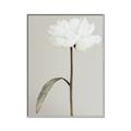 Picture of Romantic Blur Peony I _GroupedProduct_Rectangle_Portrait_Photography _GroupedProduct_Rectangle_Portrait_Canvas_Framed_