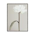 Picture of Romantic Blur Peony I _GroupedProduct_Rectangle_Portrait_Photography _GroupedProduct_Rectangle_Portrait_Canvas_Framed_