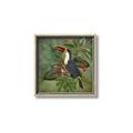 Picture of Tropical Paradise Toucan Bird _GroupedProduct_Square_Canvas_Framed_