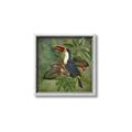 Picture of Tropical Paradise Toucan Bird _GroupedProduct_Square_Canvas_Framed_