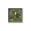 Picture of Tropical Paradise Toucan Bird _GroupedProduct_Square_Canvas_Framed_