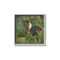 Picture of Tropical Paradise Toucan Bird _GroupedProduct_Square_Canvas_Framed_