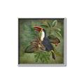 Picture of Tropical Paradise Toucan Bird _GroupedProduct_Square_Canvas_Framed_