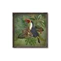 Picture of Tropical Paradise Toucan Bird _GroupedProduct_Square_Canvas_Framed_