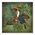 Picture of Tropical Paradise Toucan Bird _GroupedProduct_Square_Canvas_Framed_