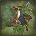 Picture of Tropical Paradise Toucan Bird _GroupedProduct_Square_Canvas_Framed_