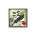 Picture of Tropical Paradise Birds Garden _GroupedProduct_Square_Canvas_Framed_