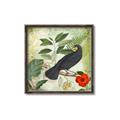 Picture of Tropical Paradise Birds Garden _GroupedProduct_Square_Canvas_Framed_