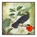 Picture of Tropical Paradise Birds Garden _GroupedProduct_Square_Canvas_Framed_