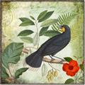 Picture of Tropical Paradise Birds Garden _GroupedProduct_Square_Canvas_Framed_