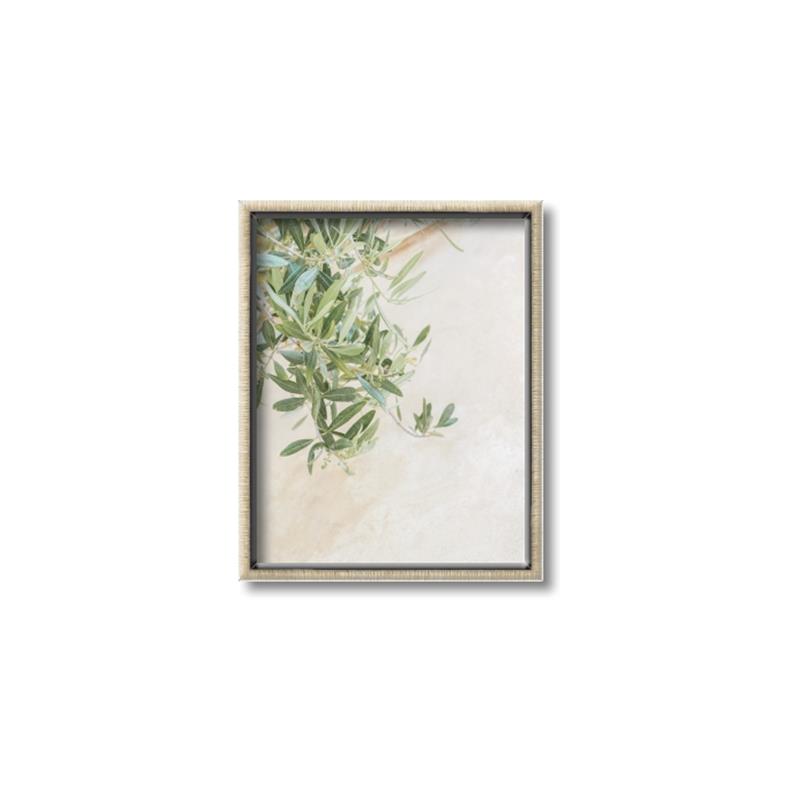 Picture of Few Olive Tree Leaves _GroupedProduct_Rectangle_Portrait_Photography _GroupedProduct_Rectangle_Portrait_Canvas_Framed_